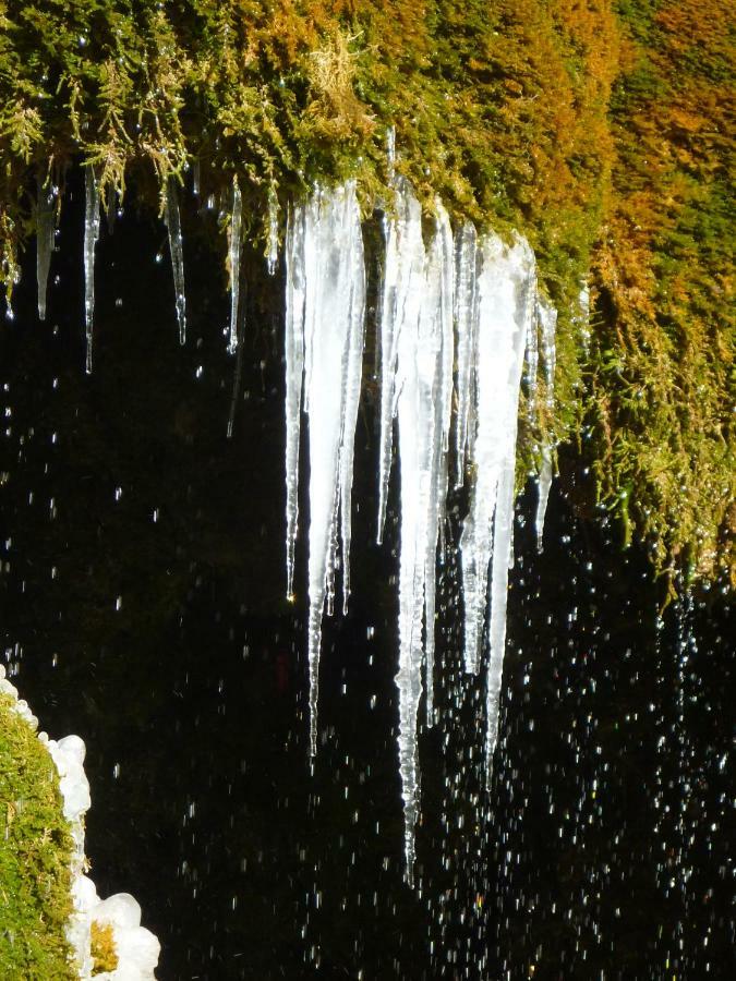 Wolfs Ferienhaus - Natuerlich Eifel Бланкенхайм Экстерьер фото