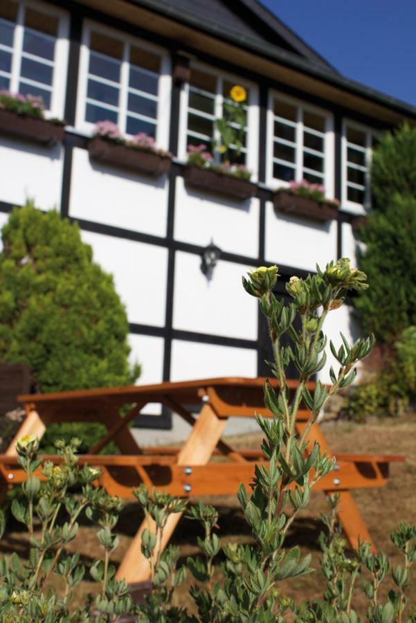 Wolfs Ferienhaus - Natuerlich Eifel Бланкенхайм Экстерьер фото